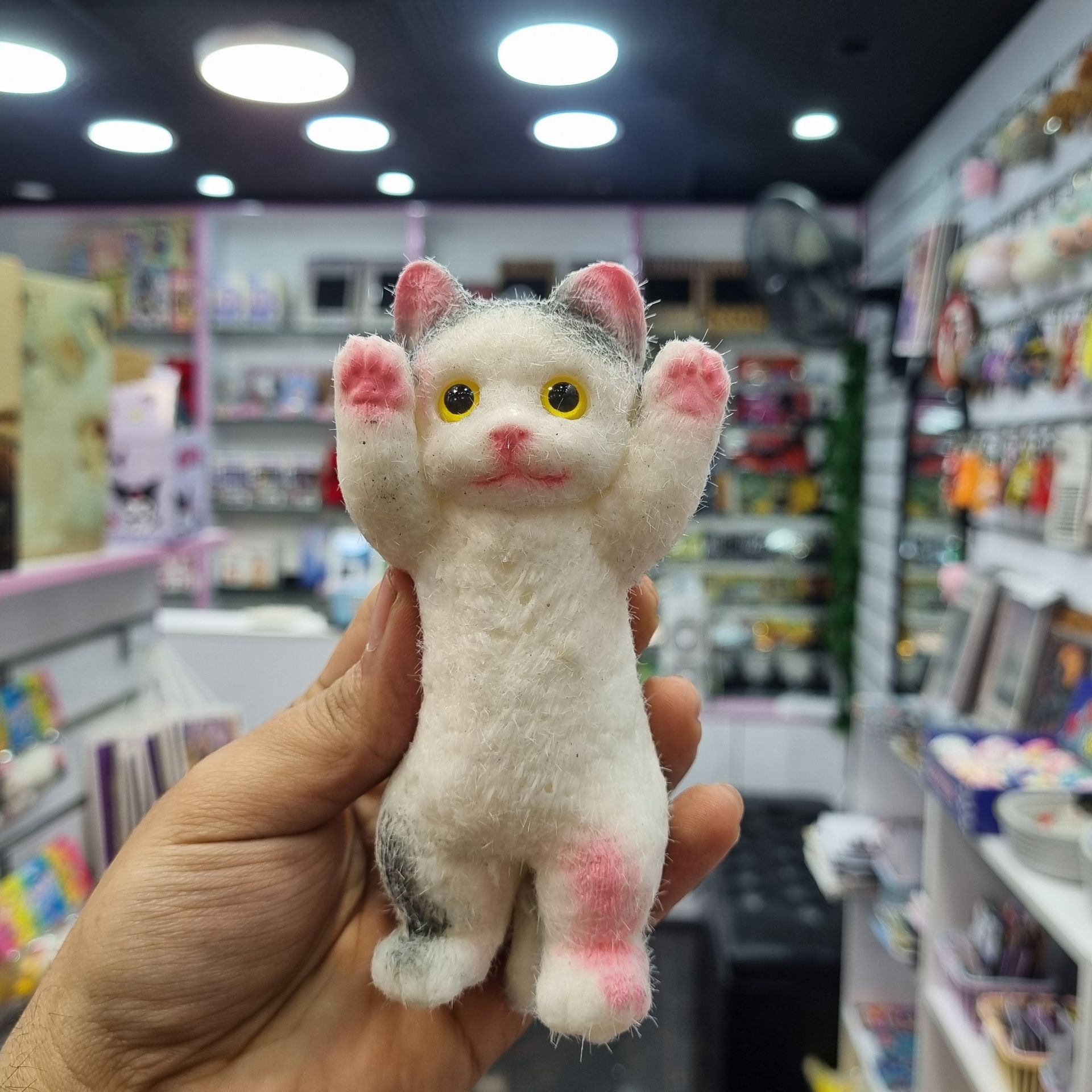 اسکویشی پیشی خسته